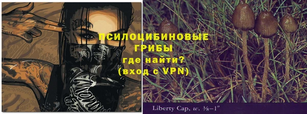 мескалин Няндома