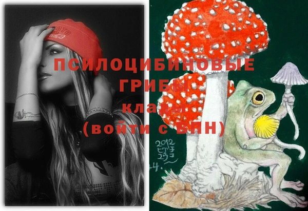 прущие грибы Нягань