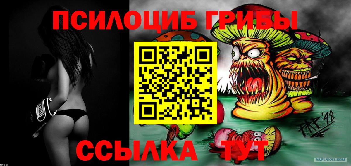 Чебоксары  Галлюциногенные грибы GOLDEN TEACHER  как найти закладки  Вход с VPN  Галлюциногенные грибы прущие грибы 
